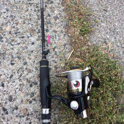 ファミリーフィッシング