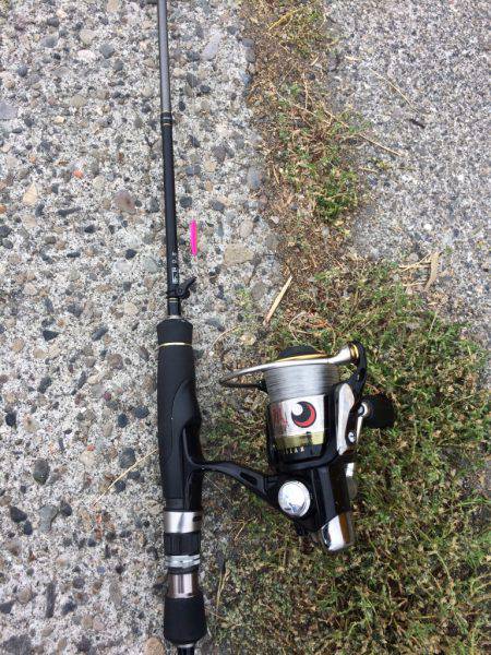 ファミリーフィッシング