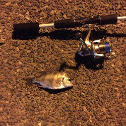 近所の川でお遊び