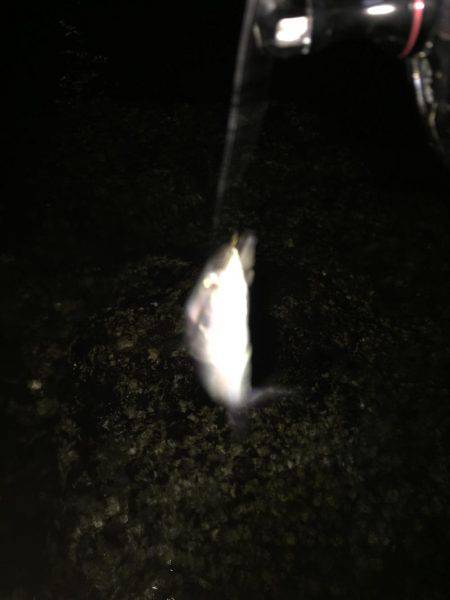 フロートゲーム