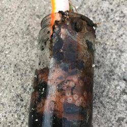 今シーズン初オクトパッシング！