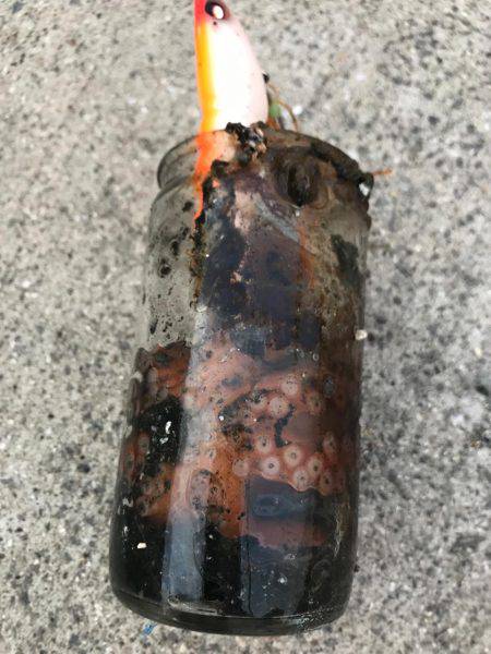 今シーズン初オクトパッシング！