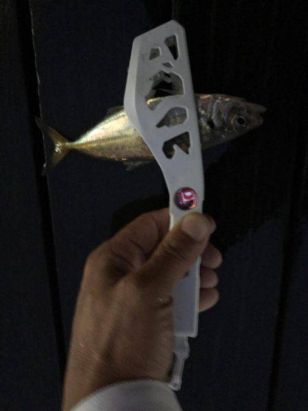 アジングしました！