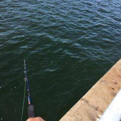 オクトパッシング