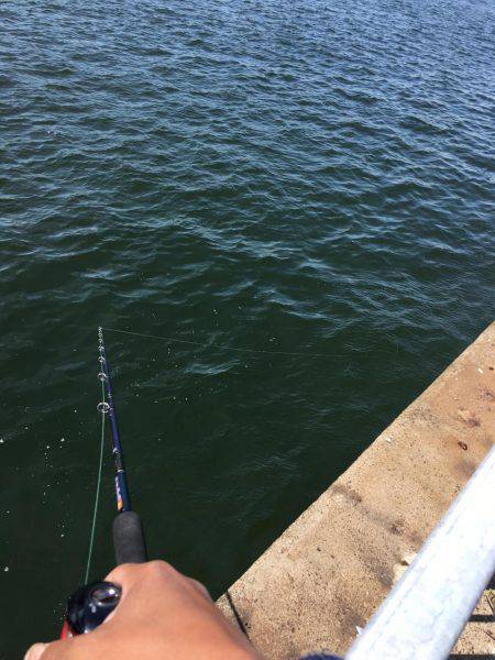 オクトパッシング