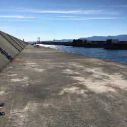 ブリどこ？サゴシパラパラ