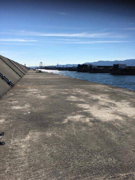 ブリどこ？サゴシパラパラ