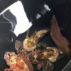 子供と穴釣り♪