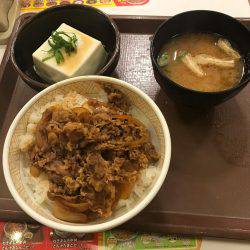 今日もアジング