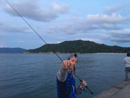 日本海ロックフィッシュ