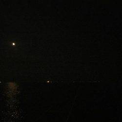 昨日とは打って変わって…