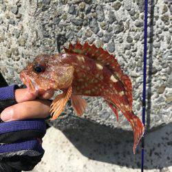 風がキツくてガシリング