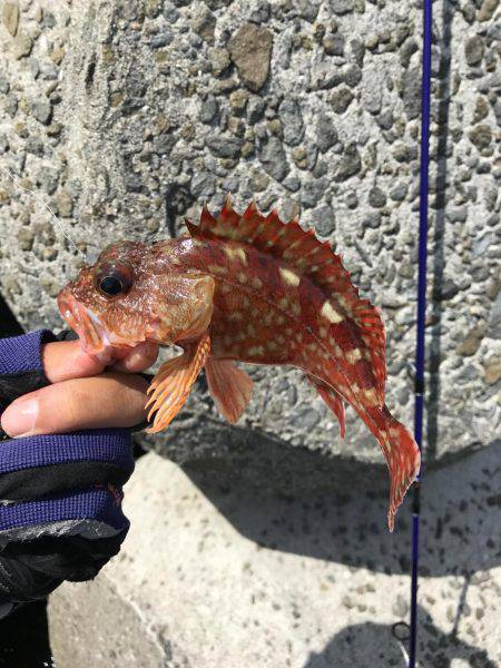 風がキツくてガシリング