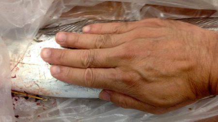 まさかのタチウオ!それも