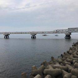 まだかな、数が伸びない！