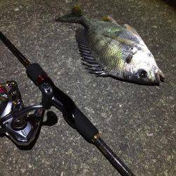 コツ掴みました