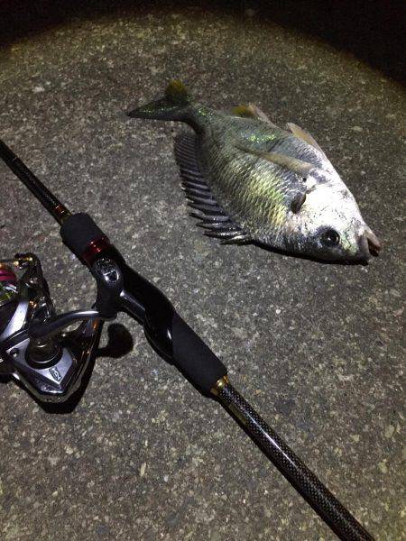 コツ掴みました