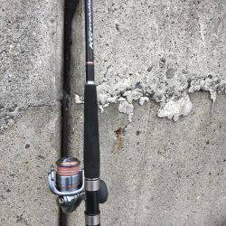 人混みを避けて