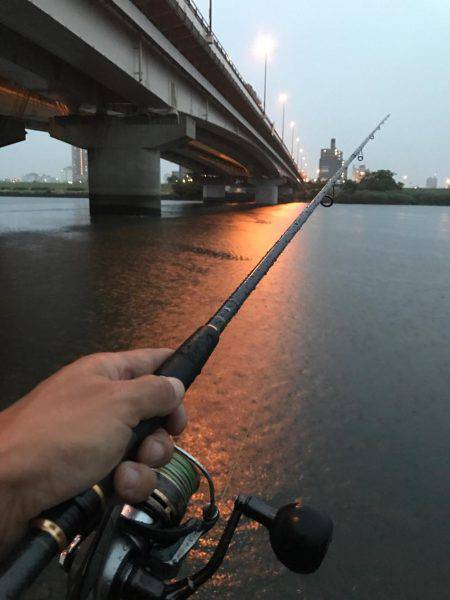 荒川シーバス、ハクパターン！リベンジ！