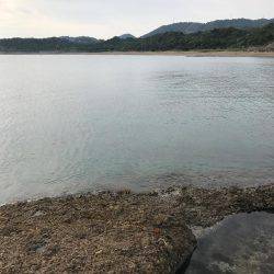 ラスト春イカ❗️