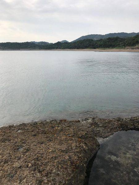 ラスト春イカ❗️