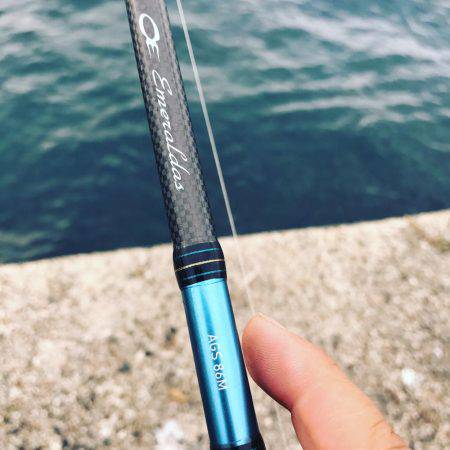 本当に最後に来ました春アオリ2.6キロ