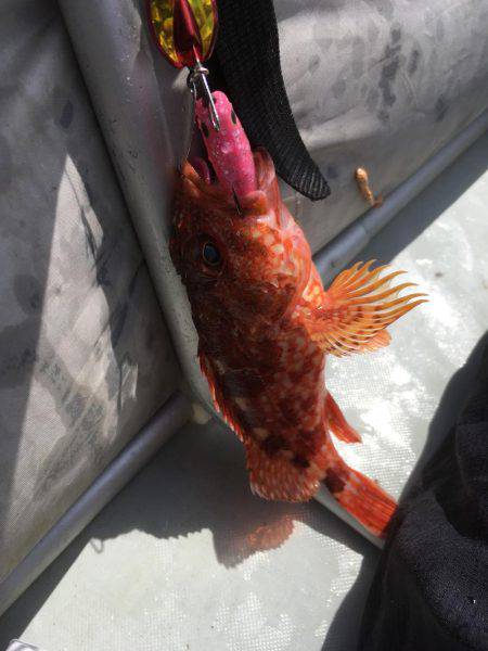 城崎近辺でカヤックフィッシング