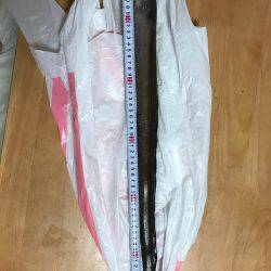 伝助⁉︎アナゴ