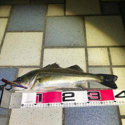 エリア10最強！