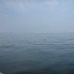 なんとか一匹…(´Д` )