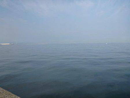 なんとか一匹…(´Д` )