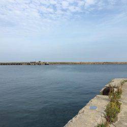 アジをソコソコ