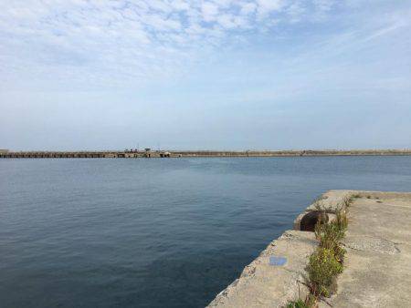 アジをソコソコ