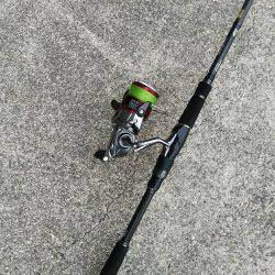 ツバースからの鯖