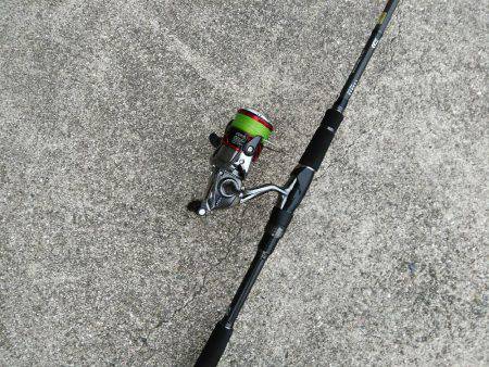 ツバースからの鯖