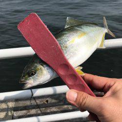 ツバス〜タコゲーム