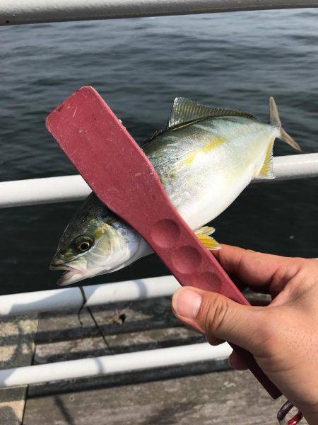 ツバス〜タコゲーム