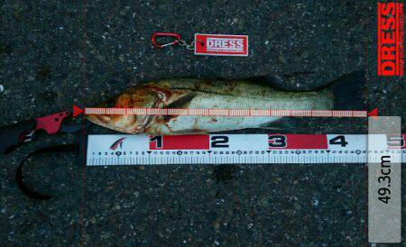 ジンクスは健在！