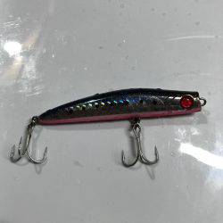 夜の三部テトラはちょいと危険