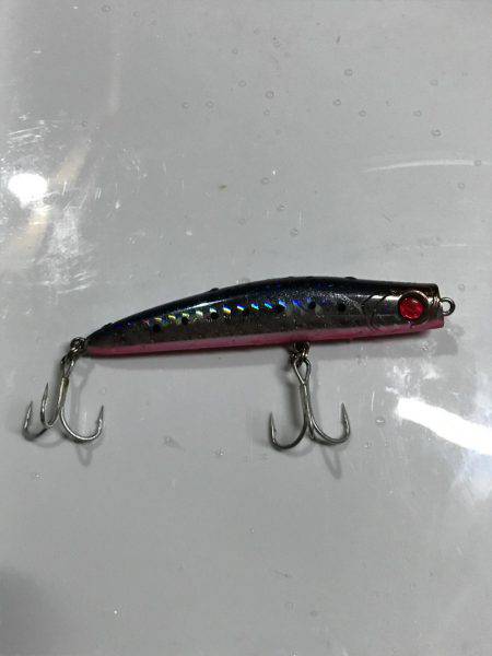 夜の三部テトラはちょいと危険