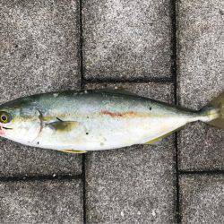 続ツバスゲーム