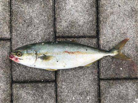 続ツバスゲーム