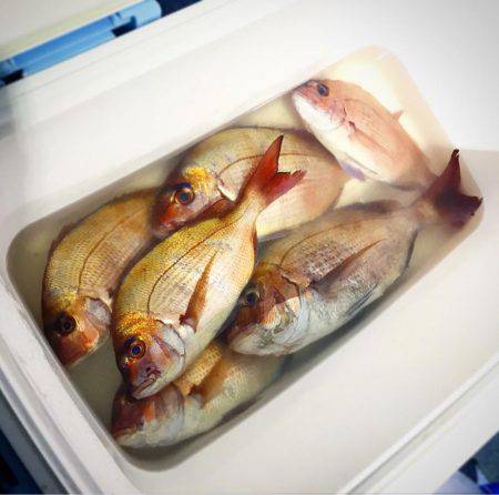 大原沖の一つテンヤ午後船