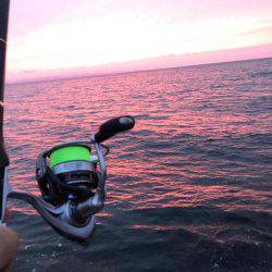 富山県魚津港 フカセ夜釣りグレ