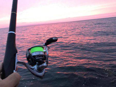 富山県魚津港 フカセ夜釣りグレ