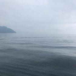 小さいアオリ胴長29とヒラメゲット