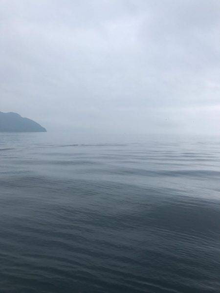 小さいアオリ胴長29とヒラメゲット