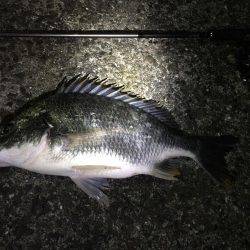 サクッとチニング