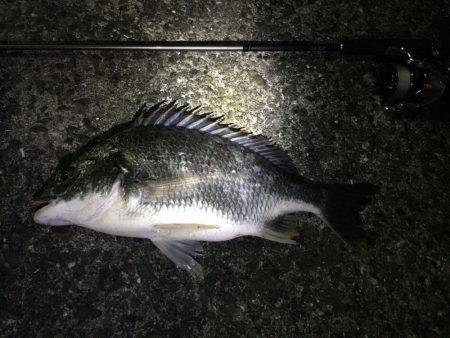 サクッとチニング