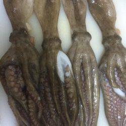 小雨の中行ってきました